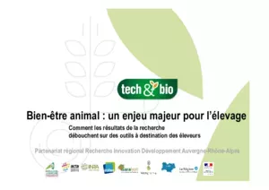 Bien-être animal : un enjeu majeur pour l’élevage