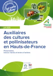 Auxiliaires des cultures et pollinisateurs en Hauts-de-France