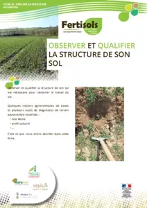 Observer et qualifier la structure de son sol