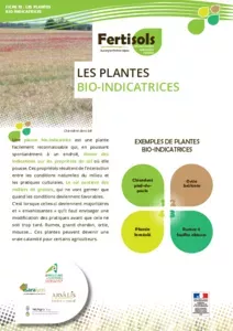 FERTISOLS : les plantes Bio-indicatrices