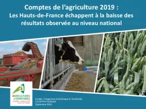 Comptes de l'agriculture 2019