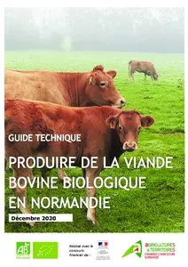 Produire de la viande bovine biologique en Normandie