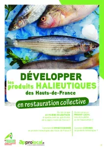 Développer les produits halieutiques des Hauts-de-France