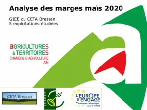 Analyse des marges maïs 2020