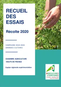 Recueil des essais 2019-2020