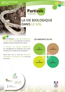 FERTISOLS : la vie biologique dans le sol