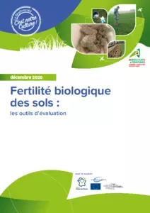 Fertilité biologique des sols