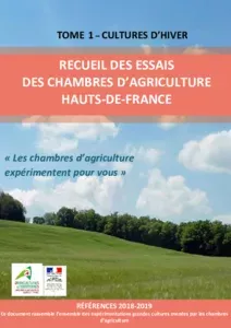 Recueil des essais 2018 - 2019