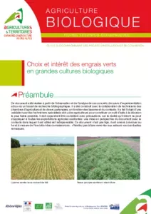 Choix et intérêt des engrais verts en grandes cultures biologiques