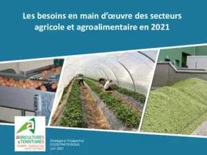 Les besoins en main d'oeuvre des secteurs agricole et agroalimentaire en 2021