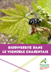 Biodiversité dans le vignoble Charentais