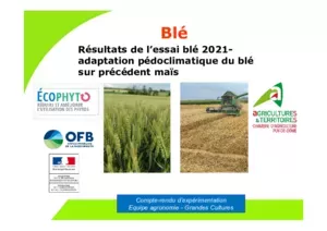 Essai variétés blés 2021