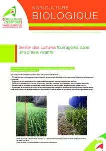 Semer des cultures fourragères dans une prairie vivante