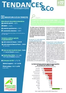 Bulletin Tendances &Co de Septembre 2021