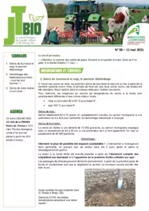 Bulletin JT Bio n°8