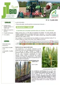 Bulletin JT Bio n°12