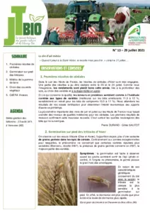 Bulletin JT Bio n°13