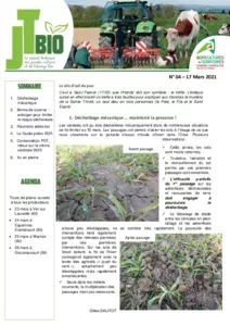 Bulletin JT Bio n°4