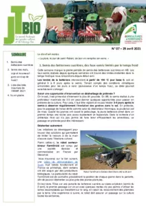 Bulletin JT Bio n°7