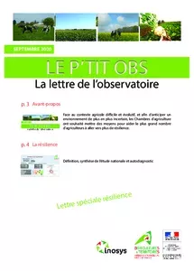 Le P’tit Obs, la lettre de l’observatoire - Septembre 2020