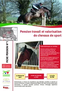 Pension travail et valorisation de chevaux de sport