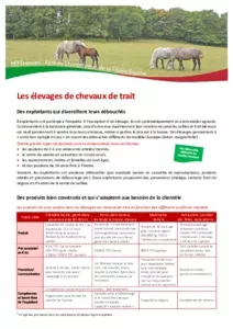 Elevages de chevaux de trait