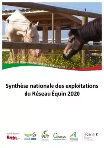 Synthèse nationale des exploitations du réseau équin 2018