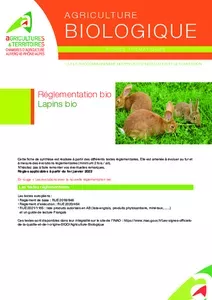 Réglementation bio - Lapins bio