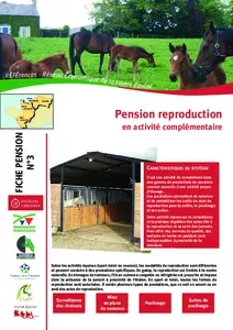 Pension reproduction en activité complémentaire