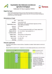 Implantation des betteraves sucrières en AB 2021