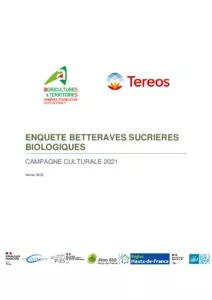 Enquêtes betteraves sucrières biologiques 2021