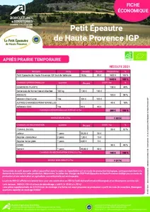 Fiche économique Petit Épeautre de Haute Provence IGP