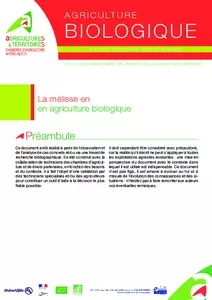 La mélisse en agriculture biologique