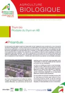 Produire du thym en AB