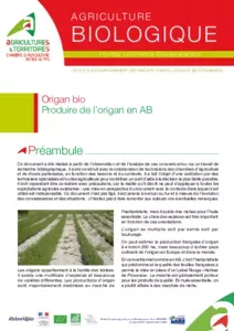 Produire de l'origan en AB