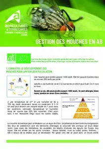 Gestion des mouches en AB