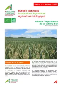 BULLETIN TECHNIQUE N°31 : REUSSIR LA CULTURE DE L'AIL