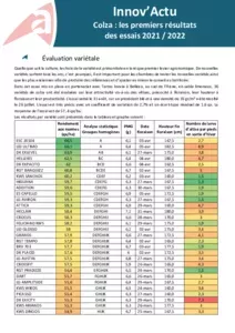 Innov’Actu spécial colza !