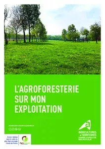 L'agroforesterie sur mon exploitation