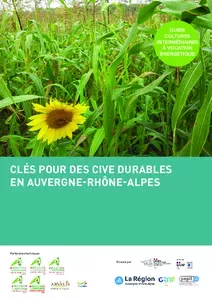 Guide pratique PEPIT CIVE