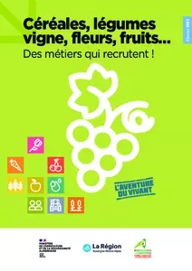 Céréales, Vignes, Fleurs, des métiers qui recrutent !