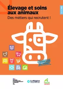 Elevage et soin aux animaux, des métiers qui recrutent