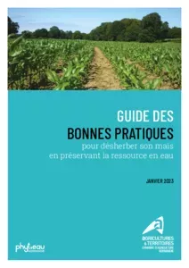 Bonnes pratiques du désherbage du maïs