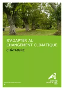 S'adapter au changement climatique : Châtaigne en Ardèche