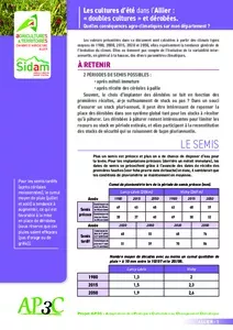 Les cultures d’été dans l’Allier : « doubles cultures » et dérobées. Quelles conséquences agro-climatiques sur mon département ?