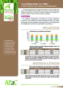 Les céréales d'hiver dans l'Allier : quelles conséquences agri-climatiques sur mon département ?