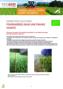 Semer des cultures fourragères dans une prairie vivante