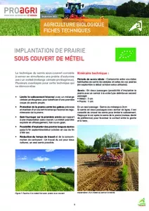 Implantation de prairie sous couvert de méteil