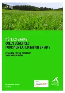 Méteils grains : quels bénéfices pour mon exploitation en AB ?