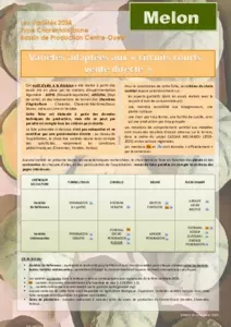 Fiche variétale melon 2024 - Circuits courts